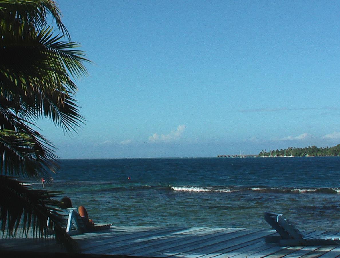 Hotel Bungalows Tipaniers Iti Vaianae Exterior foto
